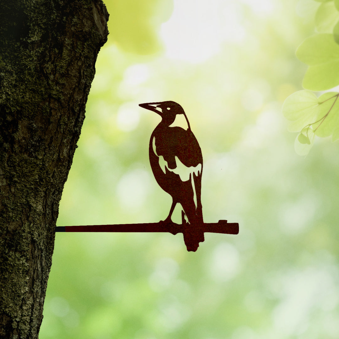 Magpie