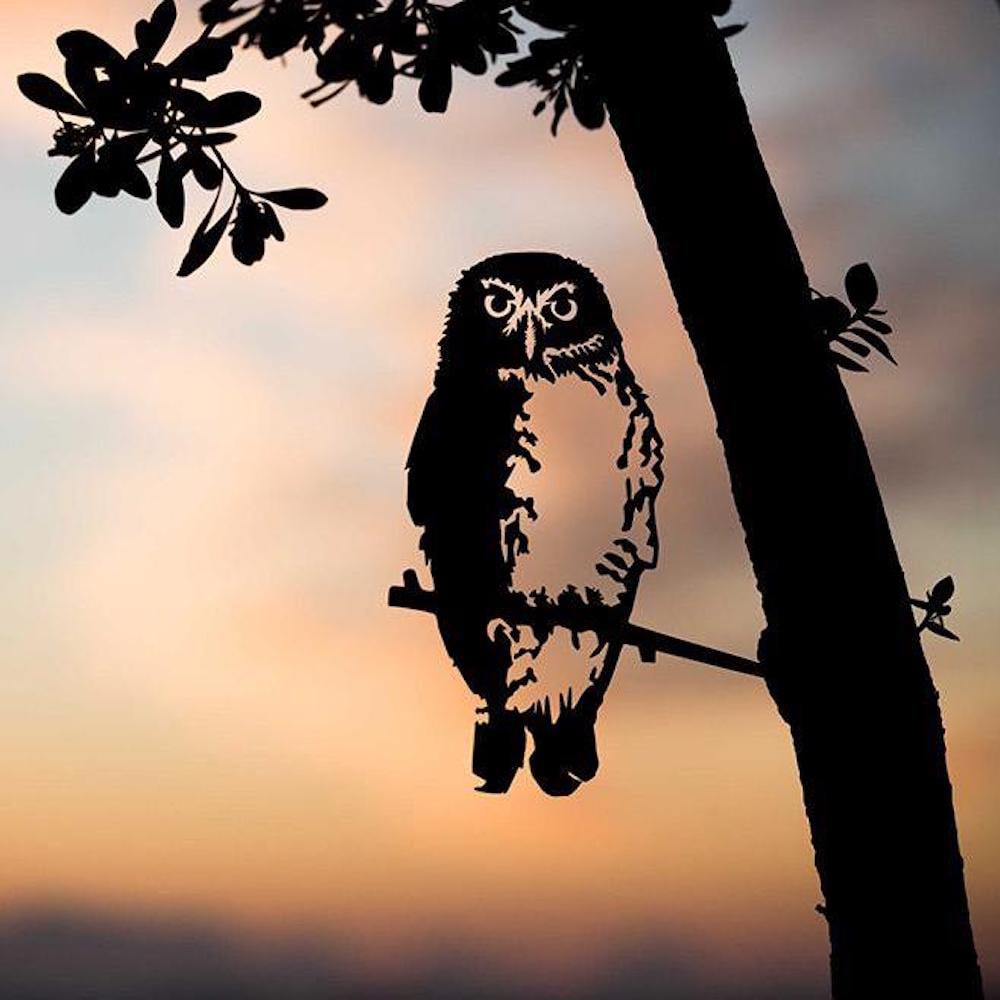 Metalbird - Birds in Trees - Southern Boobook Owl - Regular
