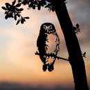 Metalbird - Birds in Trees - Southern Boobook Owl - Regular