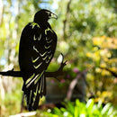 Metalbird - Birds in Trees - Wedge-Tailed Eagle - Large