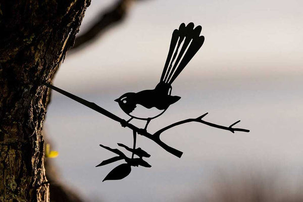 Willie Wagtail – Metalbird Australia