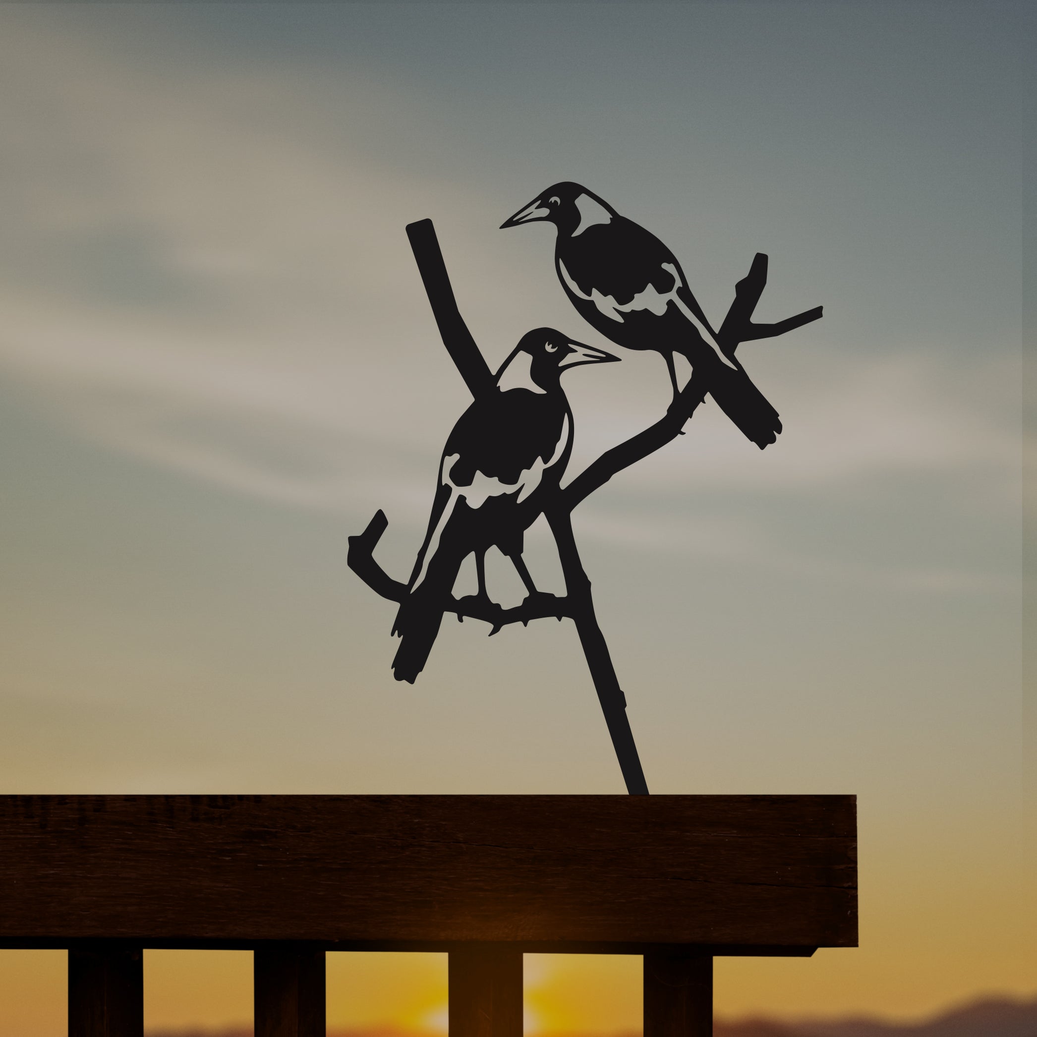 Pair of Magpies