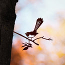 Willie Wagtail