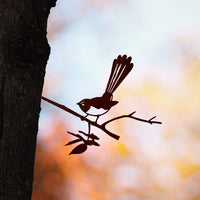 Willie Wagtail