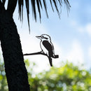 Kookaburra
